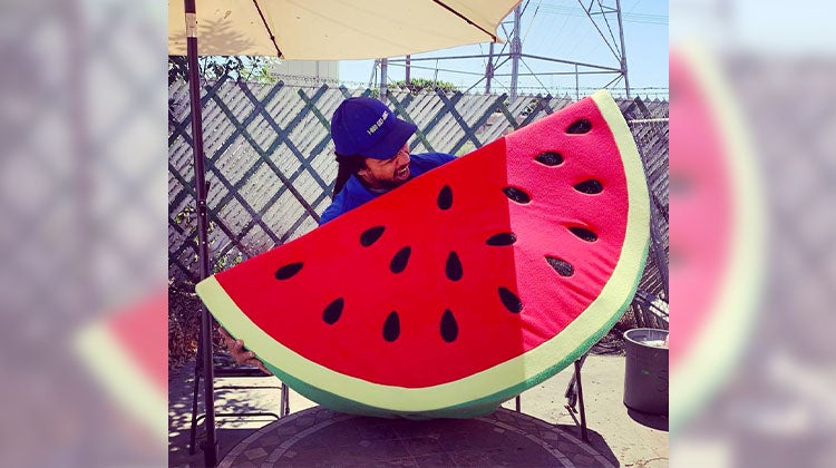 3 1-800-GOT-JUNK? Weird Junk 2023 List Weird Junk Item 3 Gian Watermelon