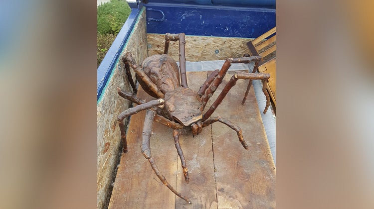 Giant wooden spider sculpture Giant wooden spider sculpture